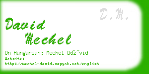 david mechel business card